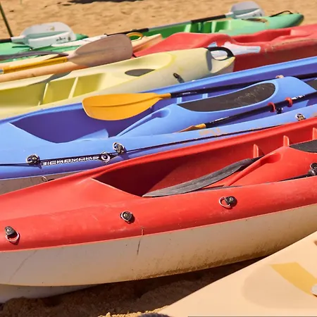 Sunny Flat With Terrace - Beahost